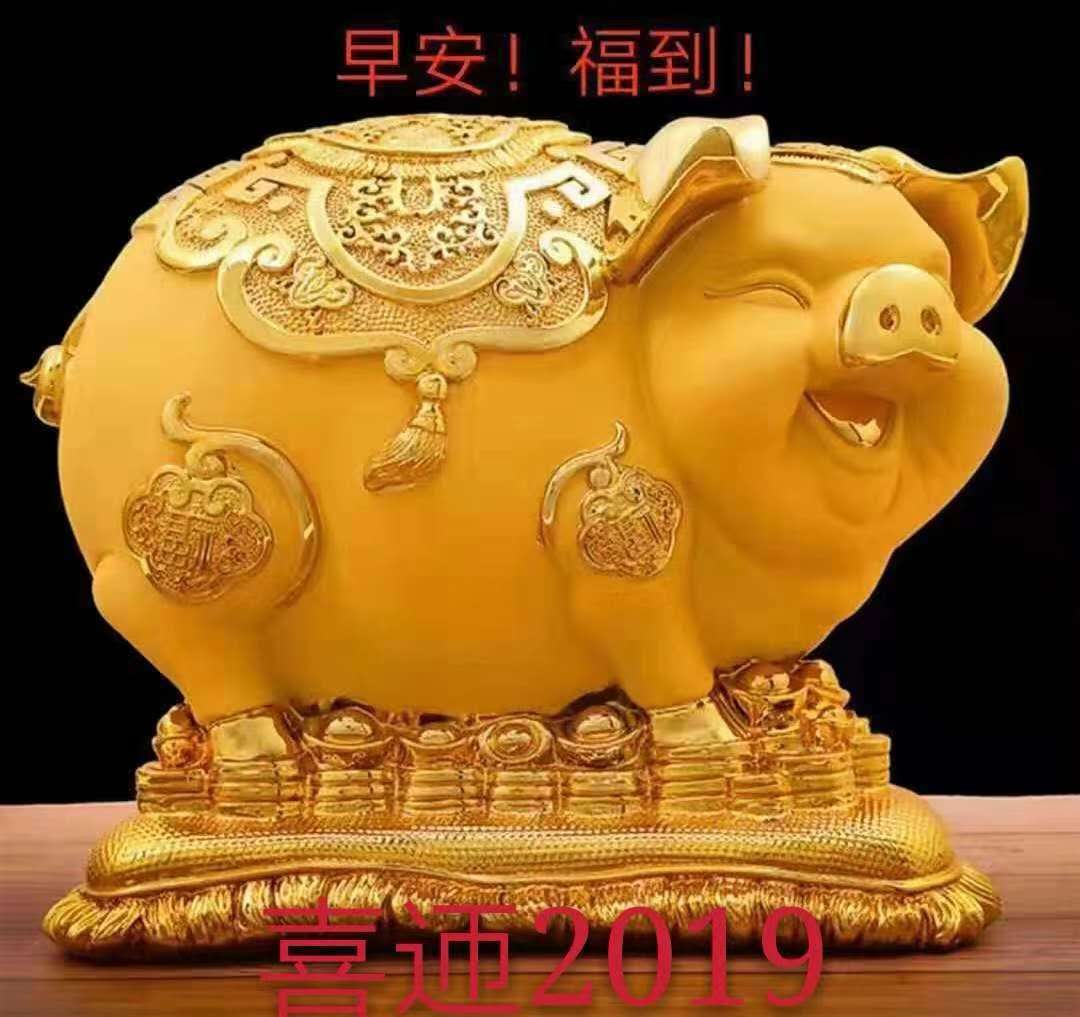 Neujahrsschwein aus China
